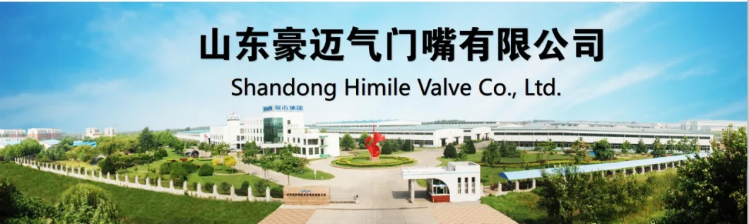 Himile TV01-25 High Quality Auto Parts, Multifunctional Valve Body, Hot Sale Protective Cap.